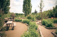 /album/fotogalerie-zabavni-park-mirakulum-milovice/mirakulum-park-zahrady-jpg/